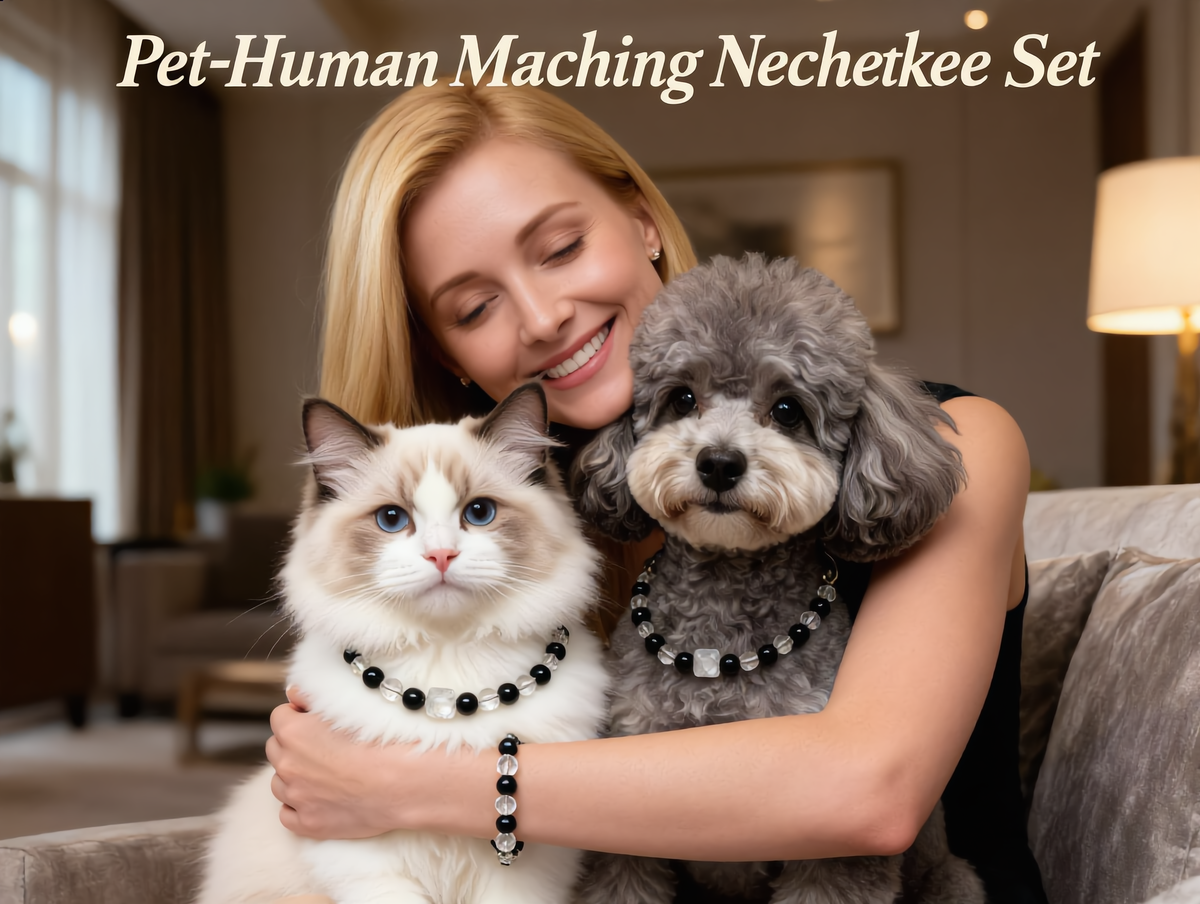 Pet & Human Matching Crystal Necklace Set, Personalized Custom Gift，dog collar Bling Rhinestone Dog Collar, Adjustable Crystal Pet Collar for Small Dogs Cats